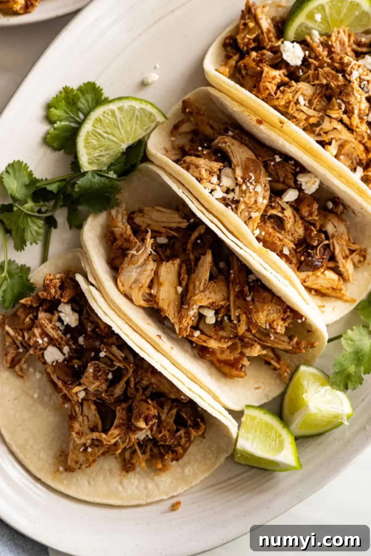 Overhead view of tacos on a white plate garnished with white cheese. 