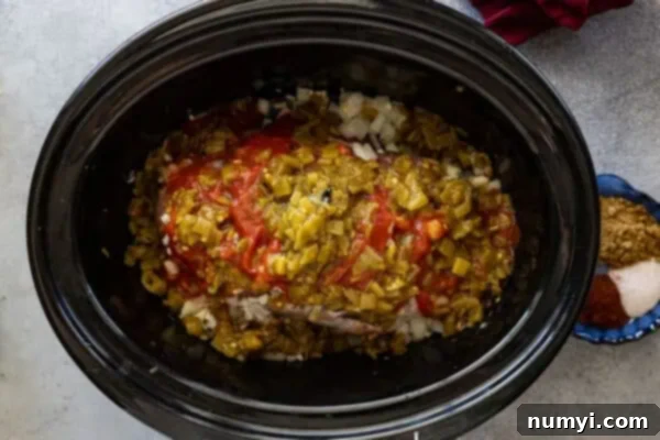 Pork roast topped with tomato sauce and green chiles.