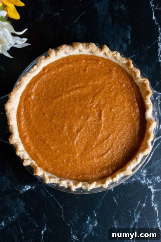 Southern Comfort Sweet Potato Pie 3 Whole southern sweet potato pie in a glass pie plate.