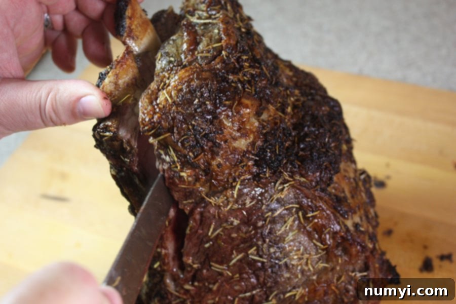 Closed Oven Prime Rib Roast 7 A carving knife separating the bones from a cooked prime rib roast for easier slicing.