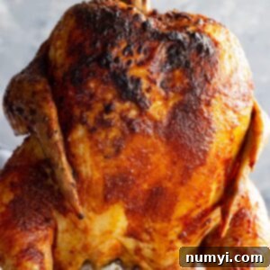 Moist Beer-Steamed Chicken 7 Beer can chicken fresh off the grill.