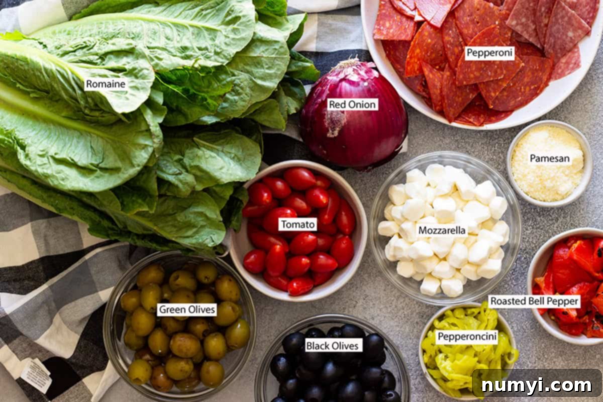 Big Italian Deli Salad 3 Individual ingredients for Antipasto Salad displayed neatly: chopped romaine, sliced red onion, pepperoni slices, grape tomatoes, mozzarella pearls, grated parmesan, roasted bell pepper strips, pepperoncini, and black olives.