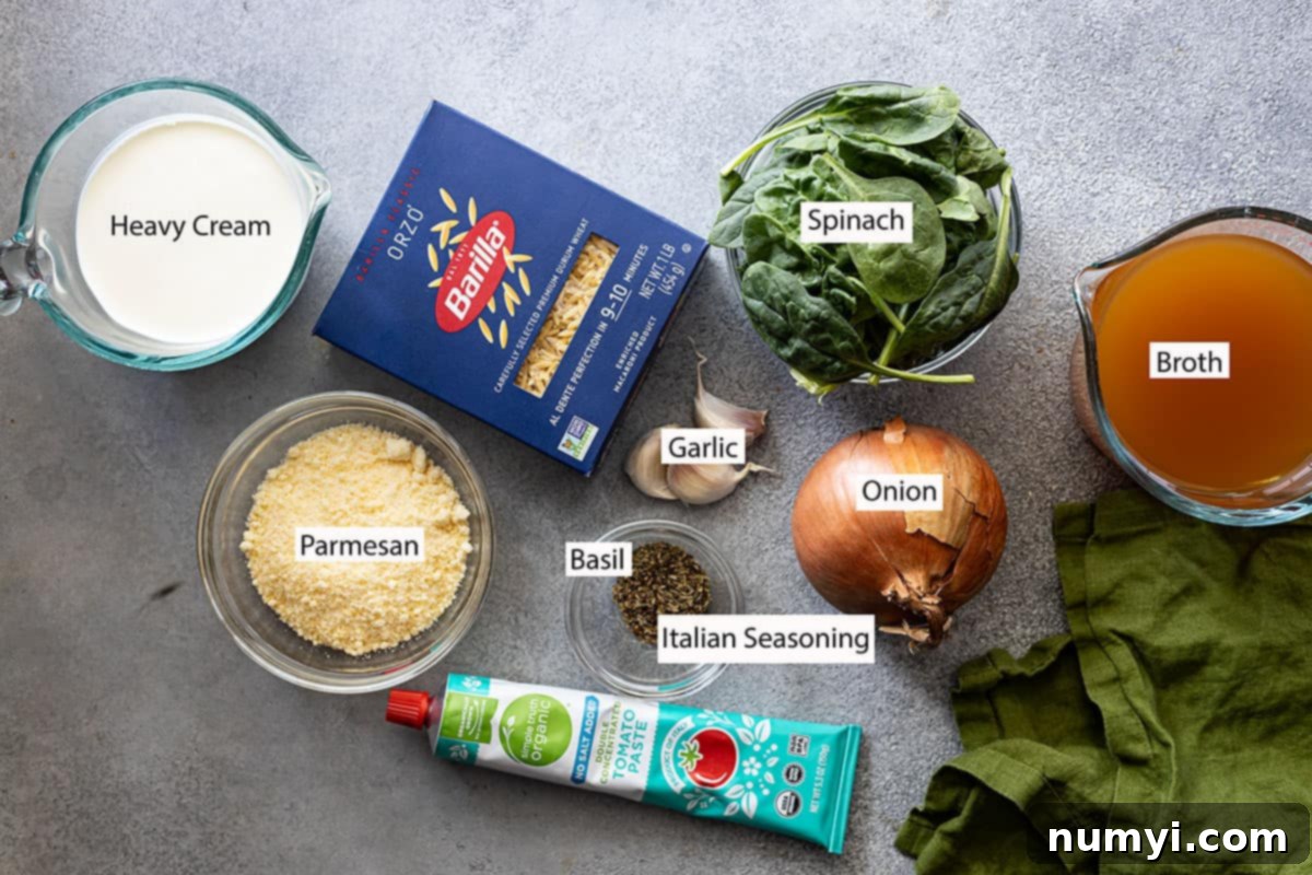 Ingredients: cream, orzo pasta, spinach, broth, garlic, onion, Italian seasoning, basil, parmesan, tomato paste.