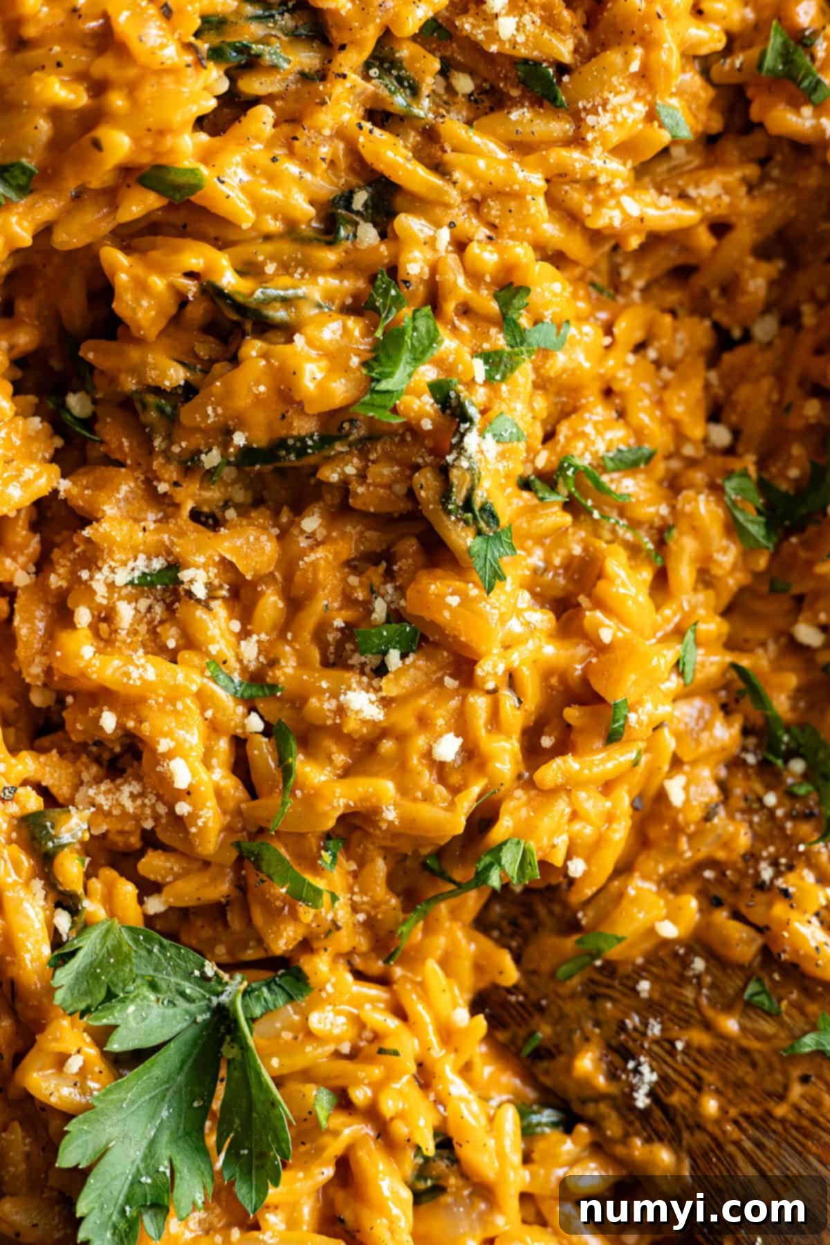 Close up of pasta garnished with parsley and parmesan cheese.
