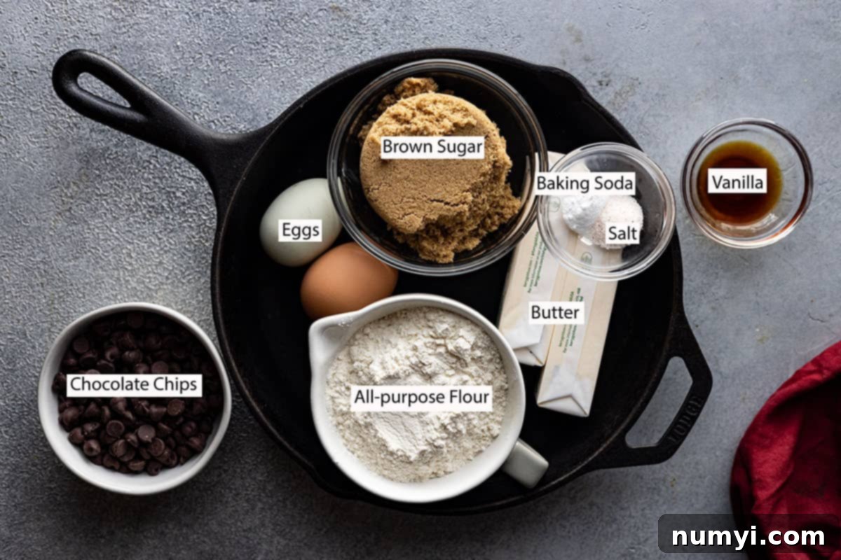 Ingredients: brown sugar, eggs, butter, baking soda, salt, vanilla, flour, chocolate chips. 