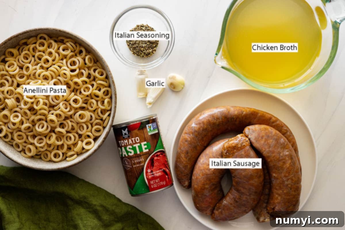 Ingredients: anellini pasta, italian seasoning, chicken broth, italian sausage, tomato paste, garlic. 