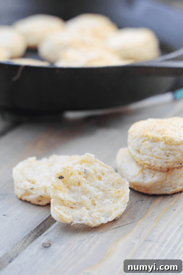 Fluffy Rosemary Cheddar Biscuits 2 rosemary cheddar biscuits in the foreground with one halved, and the rest out of focus in the background in a bowl