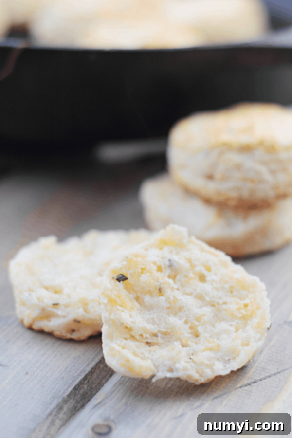 Fluffy Rosemary Cheddar Biscuits 4 closeup shot of rosemary cheddar biscuits halved with two unfocused in the background