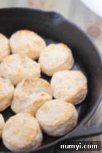Fluffy Rosemary Cheddar Biscuits 5 Rosemary Cheddar Biscuits