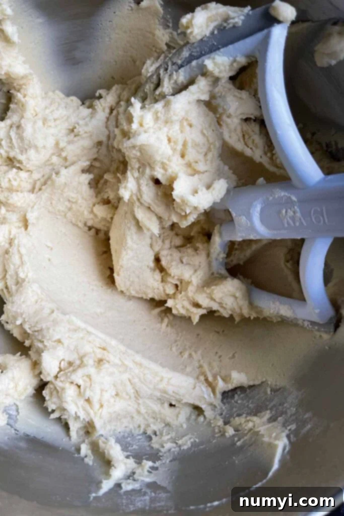 Sticky Italian ricotta cookie dough in a large mixing bowl after all ingredients are combined