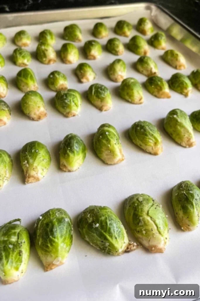 Seasoned raw brussels sprouts arranged flat-side down on a baking sheet.