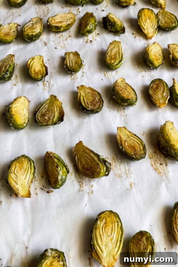 Roasted brussels sprouts with a slight char on a baking tray.