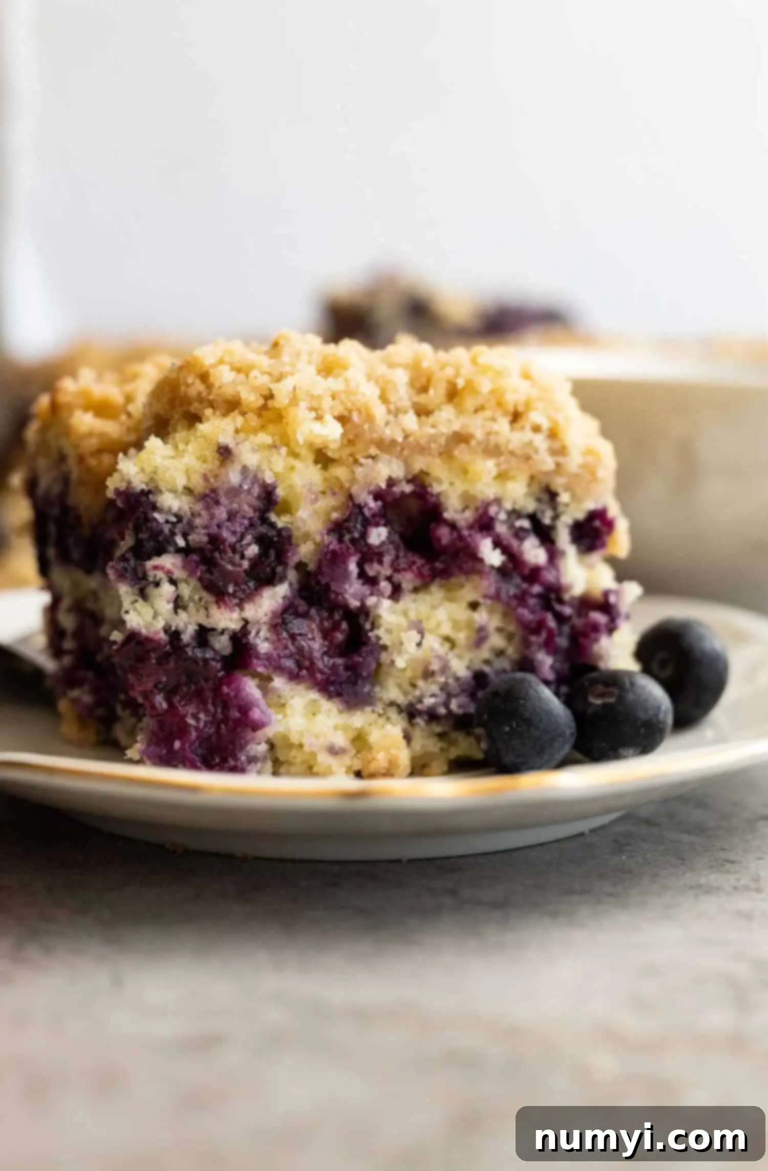 A slice of homemade blueberry buckle on a white plate, garnished with fresh blueberries on the side.
