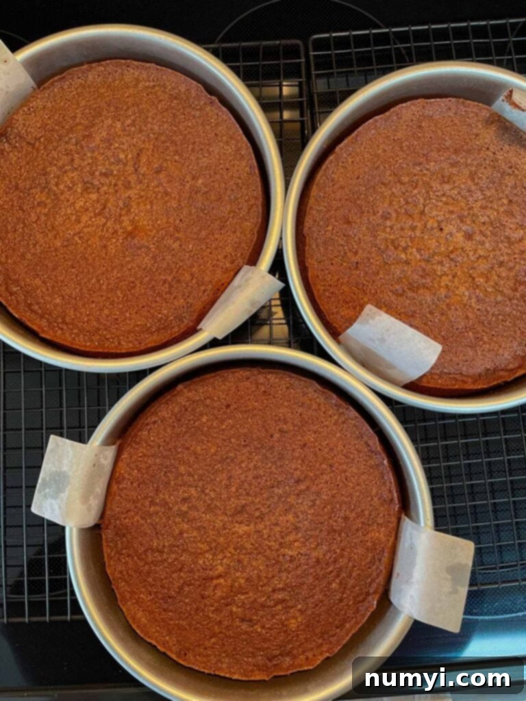 Three round cake pans filled with rich Baker's German chocolate cake batter, ready for the oven.