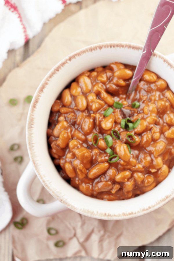 An inviting overhead shot of perfectly cooked baked beans in a white bowl, with a spoon sinking into the rich, amber sauce. Garnished with vibrant green chives for freshness.
