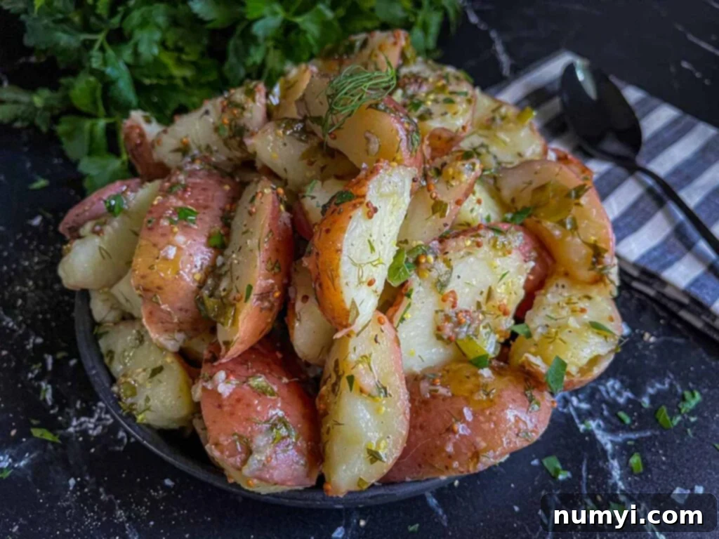 A serving of vibrant herb potato salad on a black plate, garnished with fresh herbs, ready to be enjoyed.