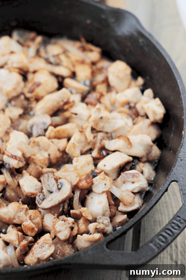 A close-up shot of the creamy Chicken and Swiss Skillet, garnished with fresh parsley, served in a cast-iron pan. Perfect for a quick 30-minute meal.