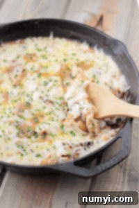 Creamy Chicken and Swiss Skillet Dinner 4 A close-up of the delicious One-Pan Chicken and Swiss Skillet, featuring golden chicken and melted cheese.