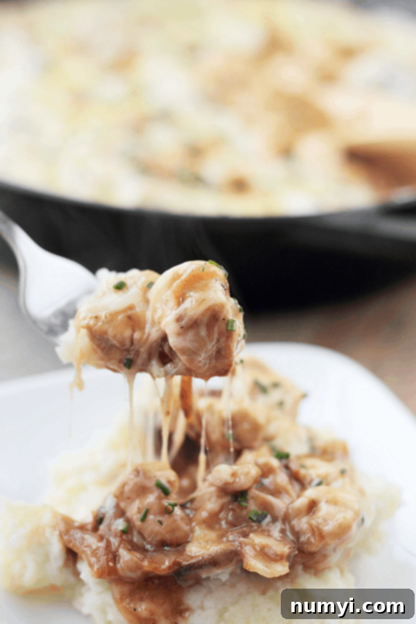 An overhead view of the Chicken and Swiss Skillet, bubbling with creamy sauce and melted Swiss cheese, ready to be served from the pan.