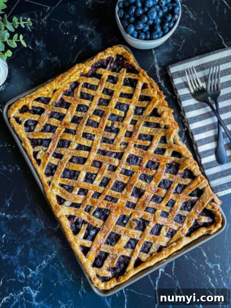 A perfectly baked blueberry slab pie, golden brown and bubbling, resting in its sheet pan fresh from the oven.