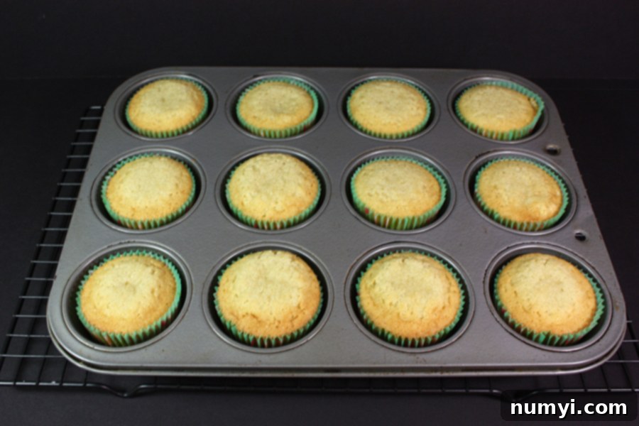 Freshly baked coconut cupcakes cooling in a muffin pan on a wire rack.