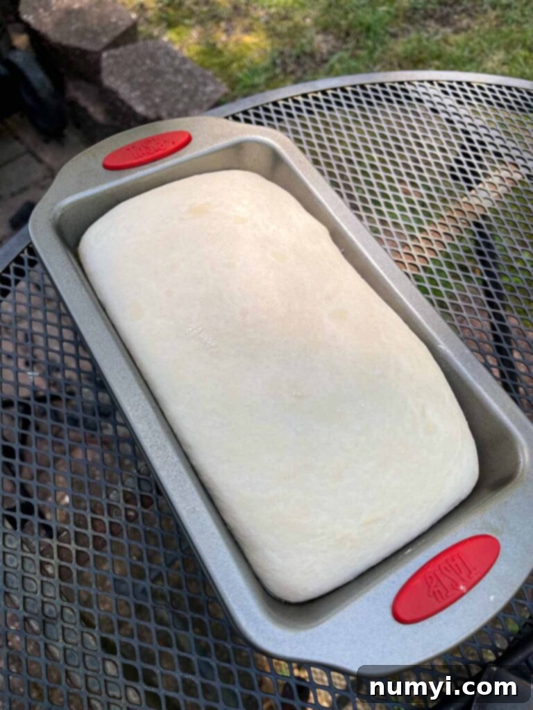 A loaf of unbaked sourdough in a bread pan, ready for the smoker.