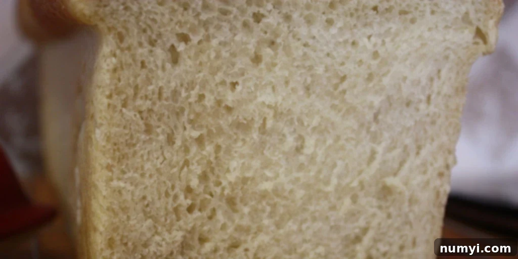 Bake Perfect Homemade Sandwich Bread 15 Close-up view of the perfectly soft and airy crumb texture of the homemade sandwich bread.