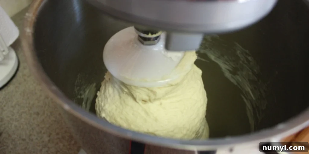 Bake Perfect Homemade Sandwich Bread 4 Soft sandwich bread dough on the dough hook of an electric mixer, ready for kneading.