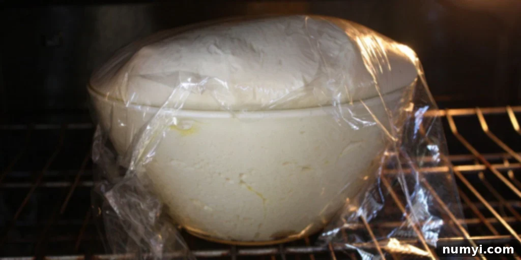 Bake Perfect Homemade Sandwich Bread 6 Significantly risen bread dough, overflowing the glass bowl after the first proofing.