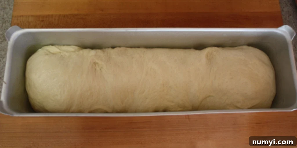 Bake Perfect Homemade Sandwich Bread 9 Shaped bread dough resting in a large loaf pan, ready for its second rise.