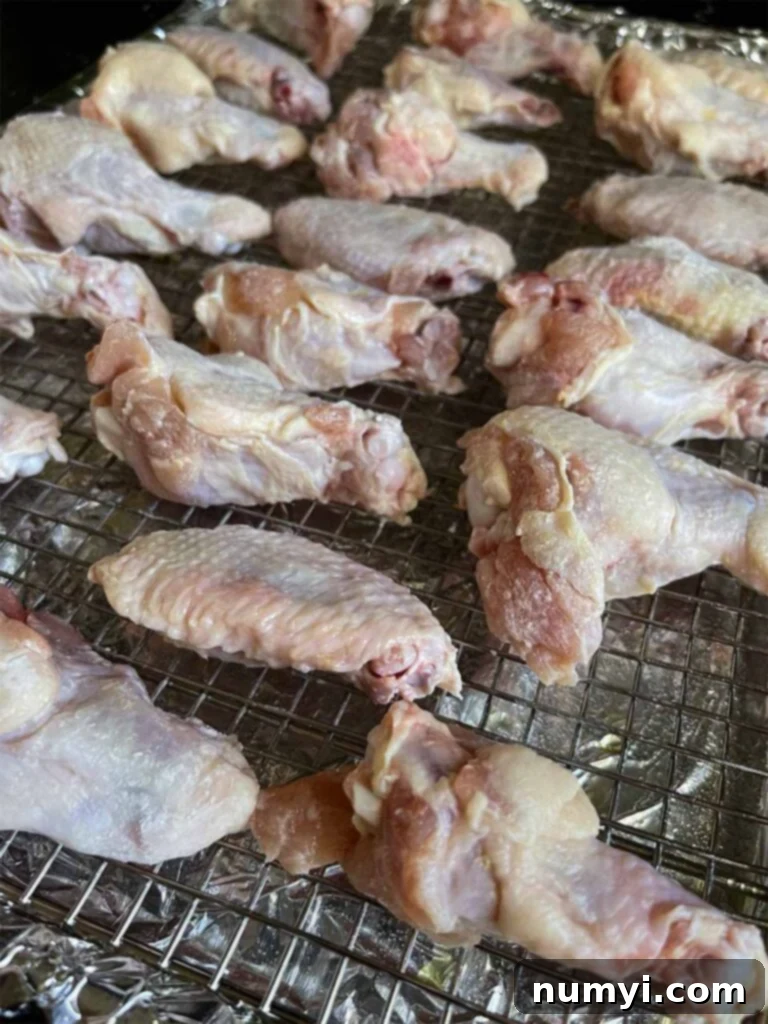 Prepared raw chicken wings, coated with baking powder and salt, neatly arranged in a single layer on a wire rack, poised to be placed in the oven for baking.