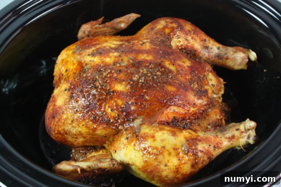 Perfectly Tender Slow Cooker Roasted Chicken 8 A perfectly cooked, tender slow cooker whole chicken, ready to be served.