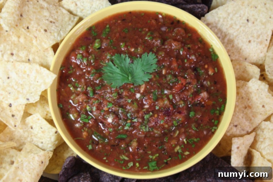 Fire Roasted Salsa in a yellow bowl surrounded by tortilla chips.