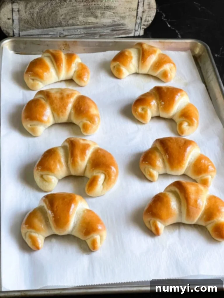 Freshly baked, golden-brown crescent rolls still warm on a parchment paper-lined baking sheet.