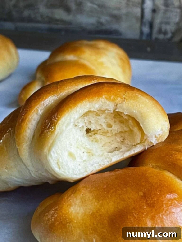 A crescent roll torn in half, revealing its light, airy, and fluffy interior crumb.