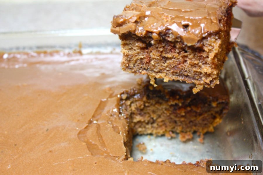 A perfectly sliced piece of Aunt Ree's Chocolate Buttermilk Cake, showcasing its moist texture and shiny fudgy icing, resting on a serving spatula.