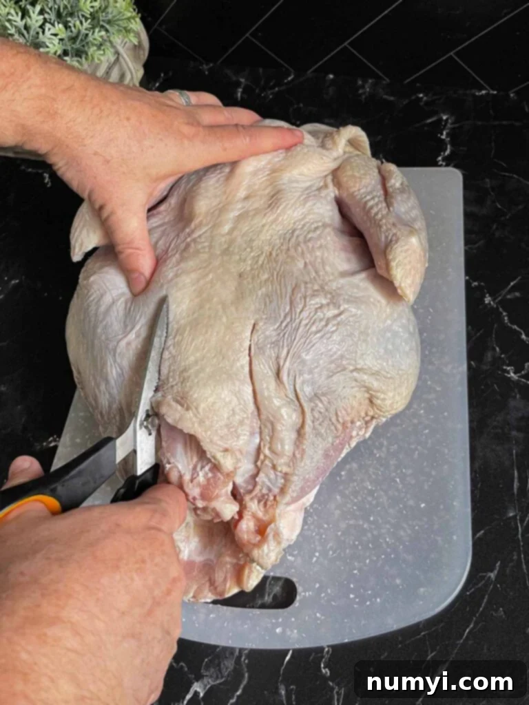 The Ultimate Dry Brined Spatchcock Turkey 7 Removing the backbone of a turkey with kitchen shears.