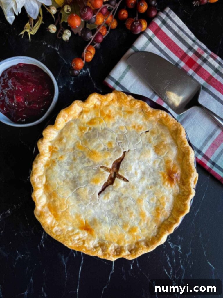Thanksgiving Encore Pie 11 A freshly baked leftover Thanksgiving pie, still warm and golden brown, having just been removed from the oven.
