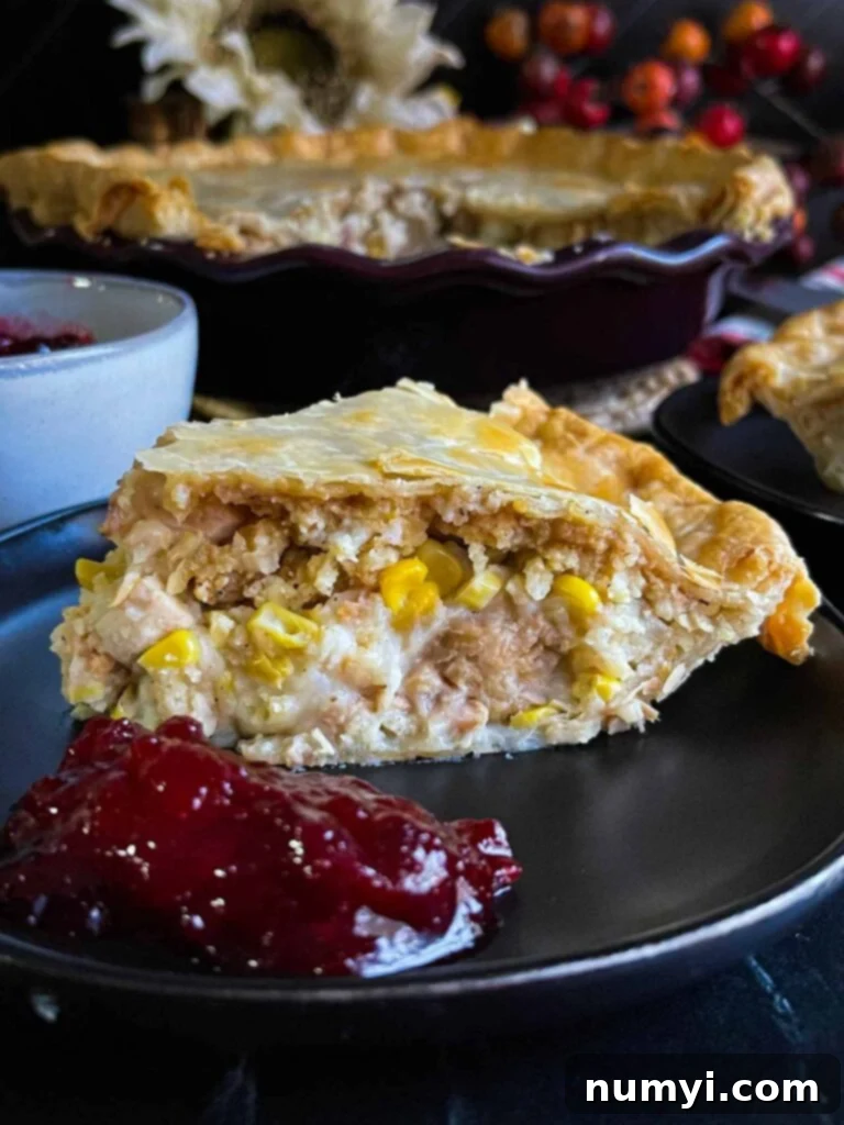 Thanksgiving Encore Pie 3 A beautifully baked slice of leftover Thanksgiving pie, topped with a dollop of vibrant cranberry sauce, resting on a black plate.