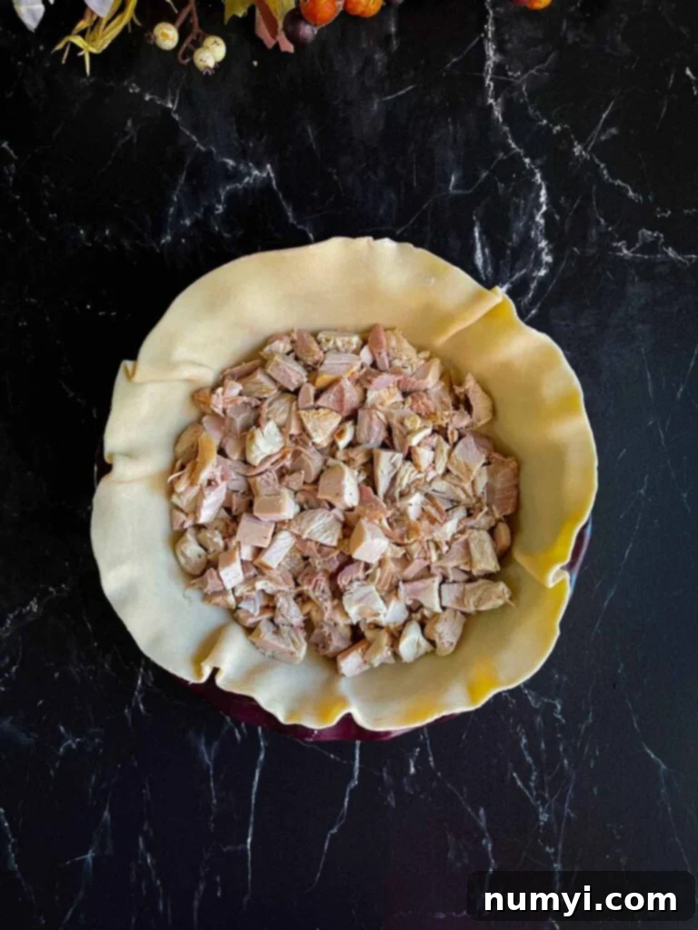 Thanksgiving Encore Pie 6 Diced Thanksgiving turkey meat evenly spread across the bottom of a pie crust in a pie plate.