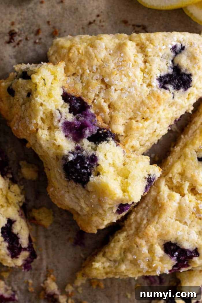 extreme closeup: lemon and blueberry scone recipe broken apart to show berries