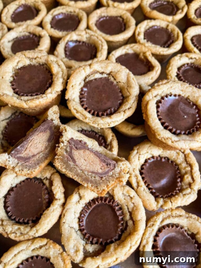 Chocolate Peanut Butter Cup Cookies 2 Close-up of freshly baked peanut butter cup cookies, some whole and one cut in half to reveal the gooey Reese's peanut butter cup center.