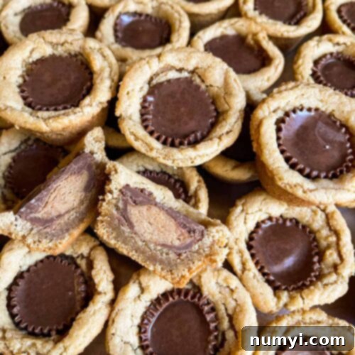 Chocolate Peanut Butter Cup Cookies 9 Peanut butter cup cookies placed close to each other with one cut in half showing the inside.