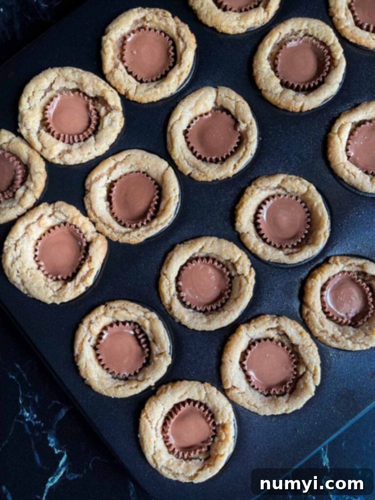 Chocolate Peanut Butter Cup Cookies 7 Freshly baked peanut butter cup cookies, still in the mini muffin pan, with Reese's peanut butter cups pressed into their centers.