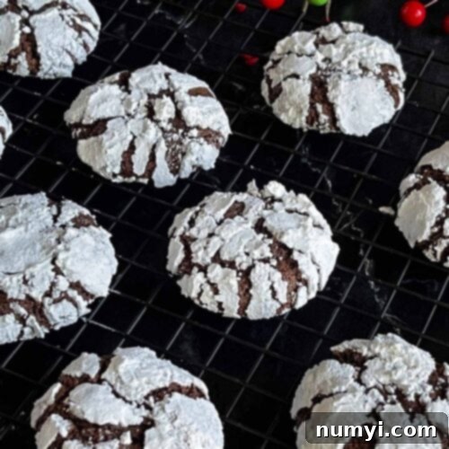 Chocolate crinkle cookies on a wire rack.