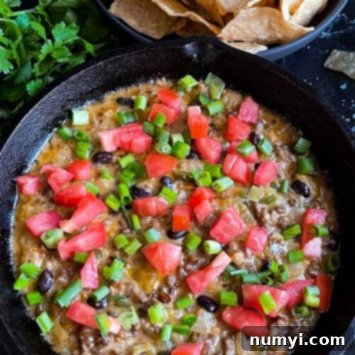 Molten Beef & Cheese Dip 11 Hearty Queso Fundido in a cast iron skillet, served with a bowl of warm tortillas.