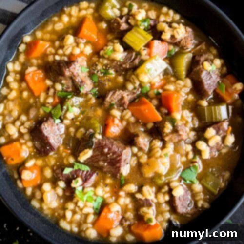 Beef barley soup in a dark bowl garnished with chopped parsley.