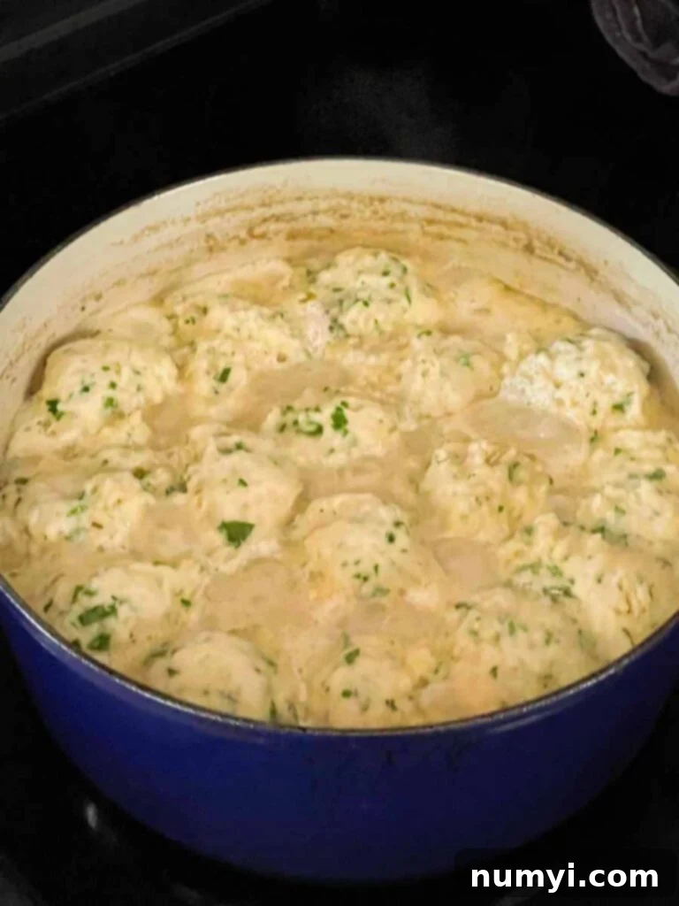 Chicken and dumplings cooking in a dutch oven.