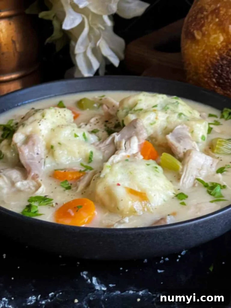 Homemade chicken and dumplings in a dark bowl.