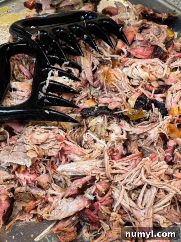 Effortless Pork Shoulder Brine 4 Pork shoulder meat shredded with a pair of meat claws.